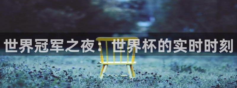 世界杯预选赛直播:世界冠军之夜:世界杯的实时时刻