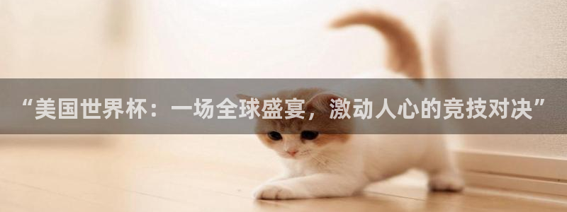 世界杯葡萄牙赛程:“美国世界杯:一场全球盛宴,激动人心的竞技对决”