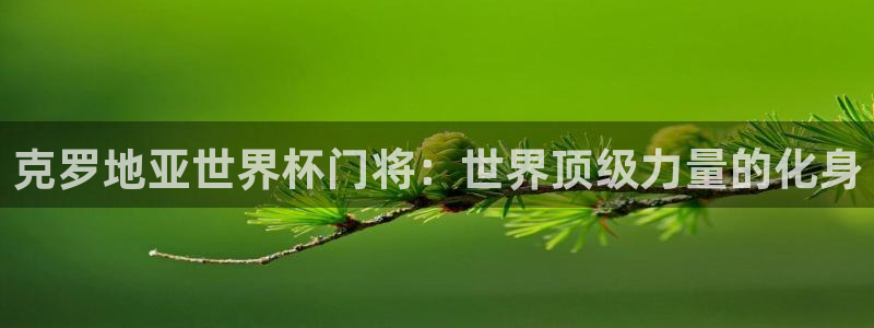 2026年世界杯赛程表时间:克罗地亚世界杯门将:世界顶级力量的化身